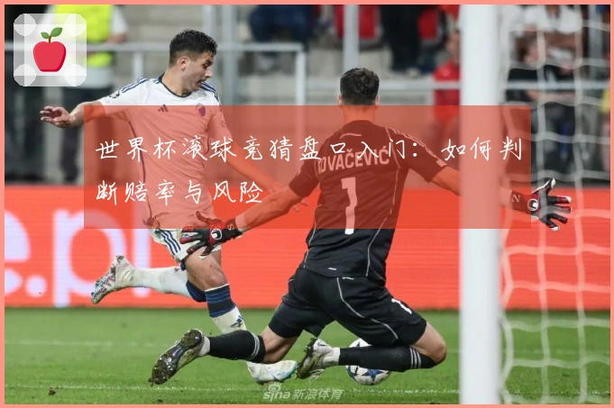 世界杯滚球竞猜盘口入门：如何判断赔率与风险