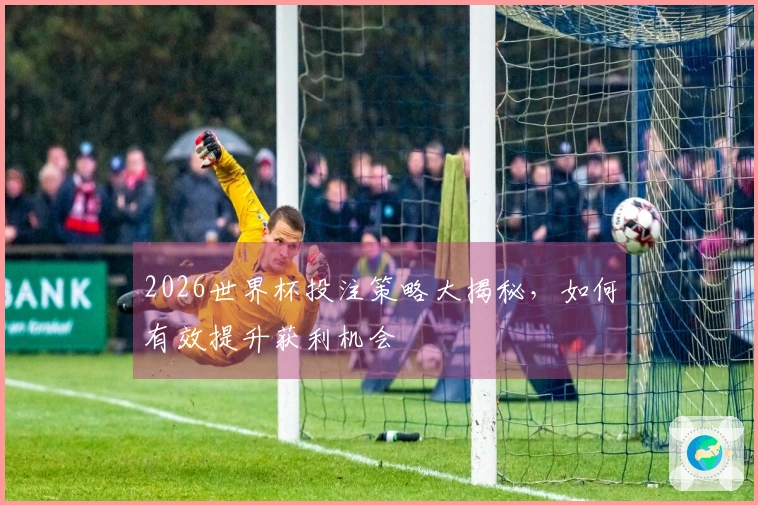 2026世界杯投注策略大揭秘，如何有效提升获利机会