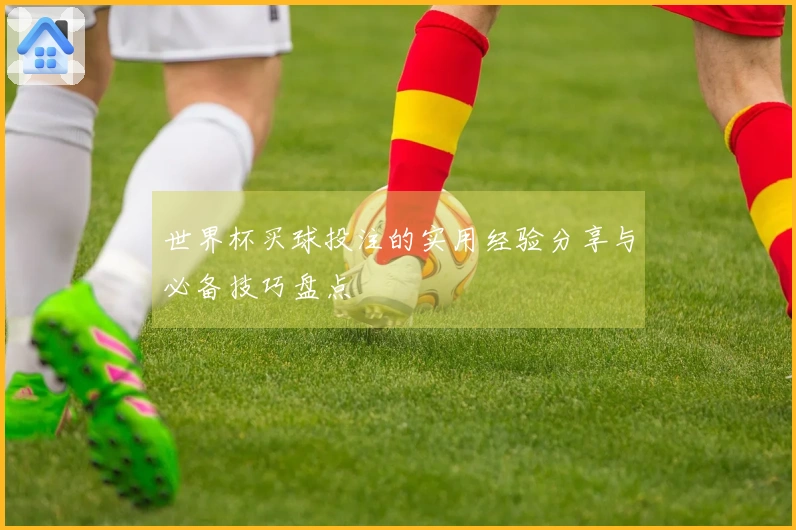 世界杯买球投注的实用经验分享与必备技巧盘点
