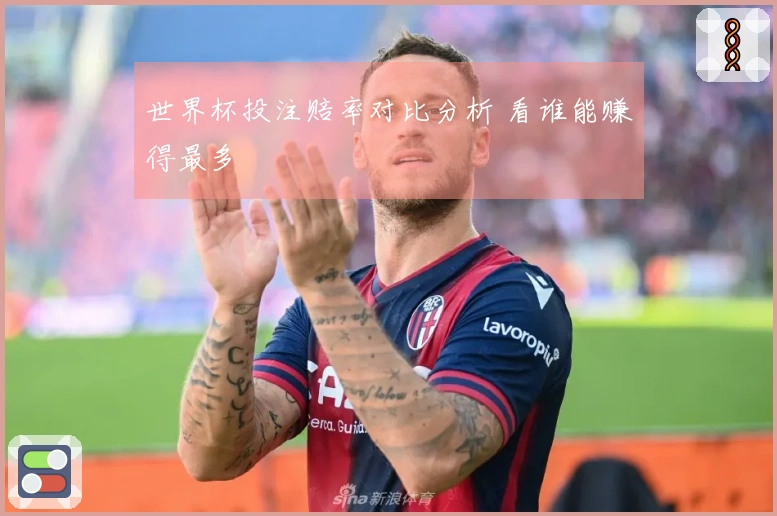 世界杯投注赔率对比分析 看谁能赚得最多