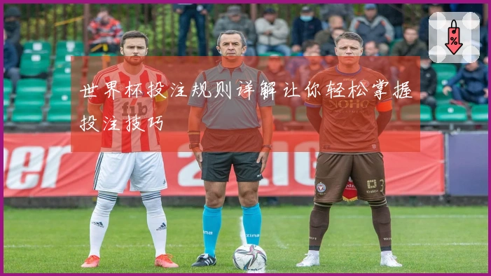 世界杯投注规则详解让你轻松掌握投注技巧