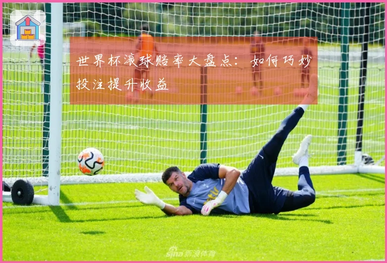 世界杯滚球赔率大盘点：如何巧妙投注提升收益
