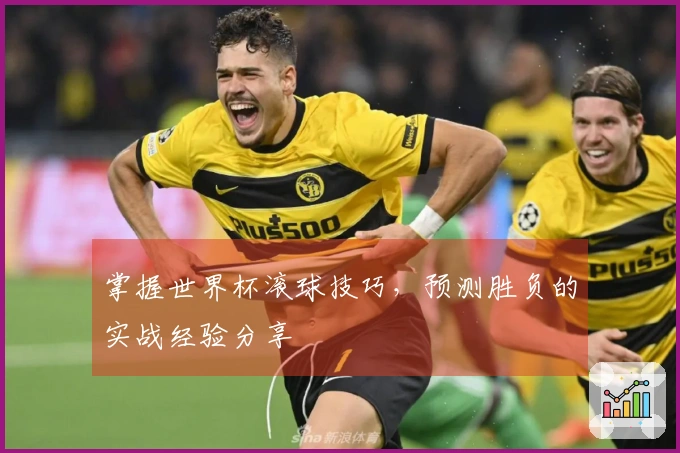 掌握世界杯滚球技巧，预测胜负的实战经验分享
