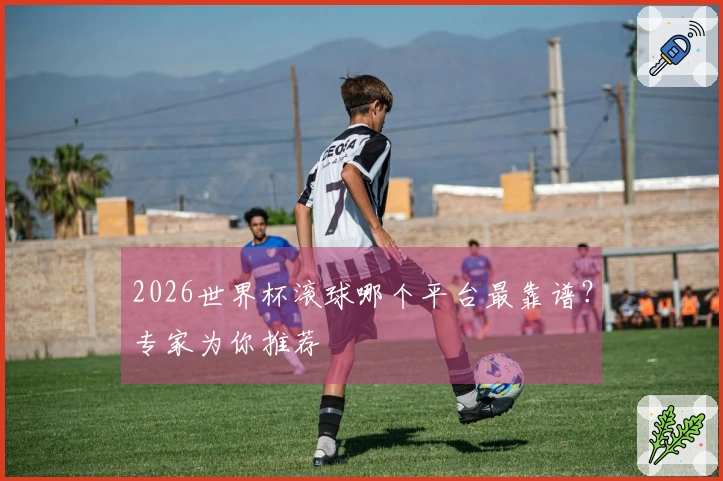 2026世界杯滚球哪个平台最靠谱？专家为你推荐