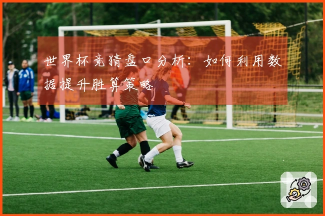 世界杯竞猜盘口分析：如何利用数据提升胜算策略