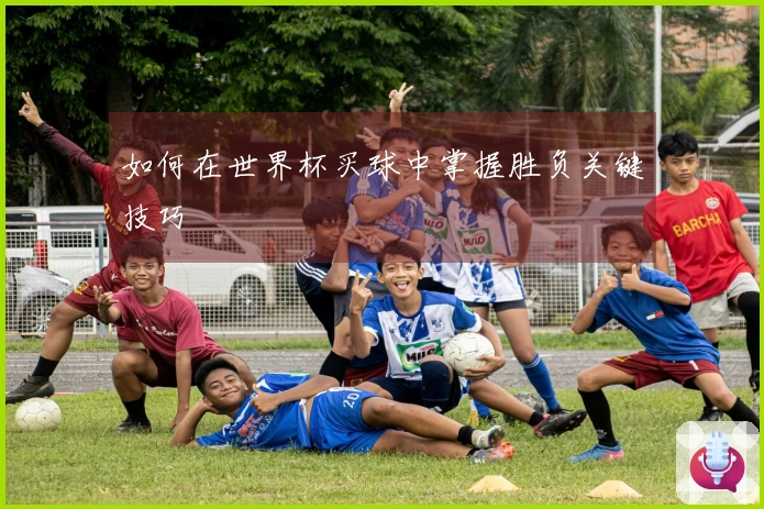 如何在世界杯买球中掌握胜负关键技巧