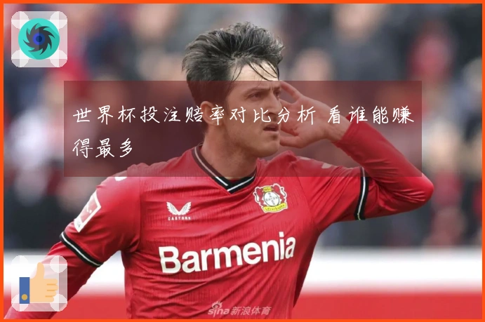 世界杯投注赔率对比分析 看谁能赚得最多