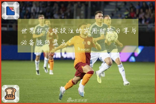 世界杯买球投注的实用经验分享与必备技巧盘点
