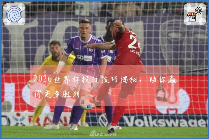 2026世界杯投注技巧揭秘，助你赢得更多胜利