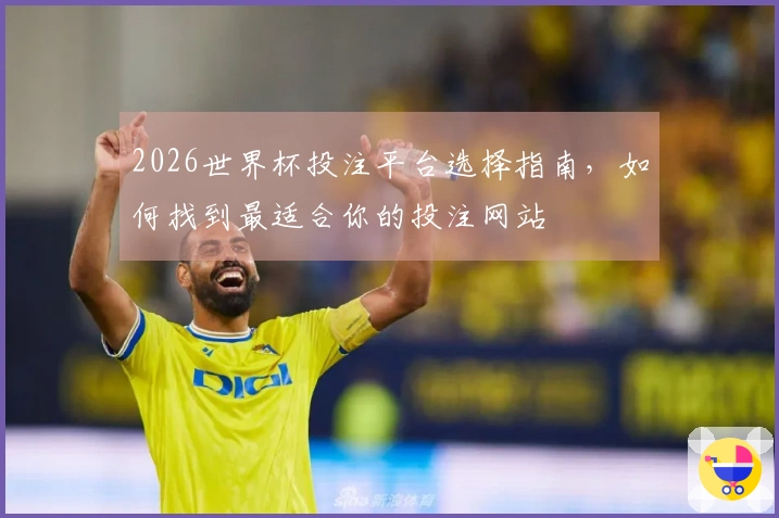 2026世界杯投注平台选择指南，如何找到最适合你的投注网站